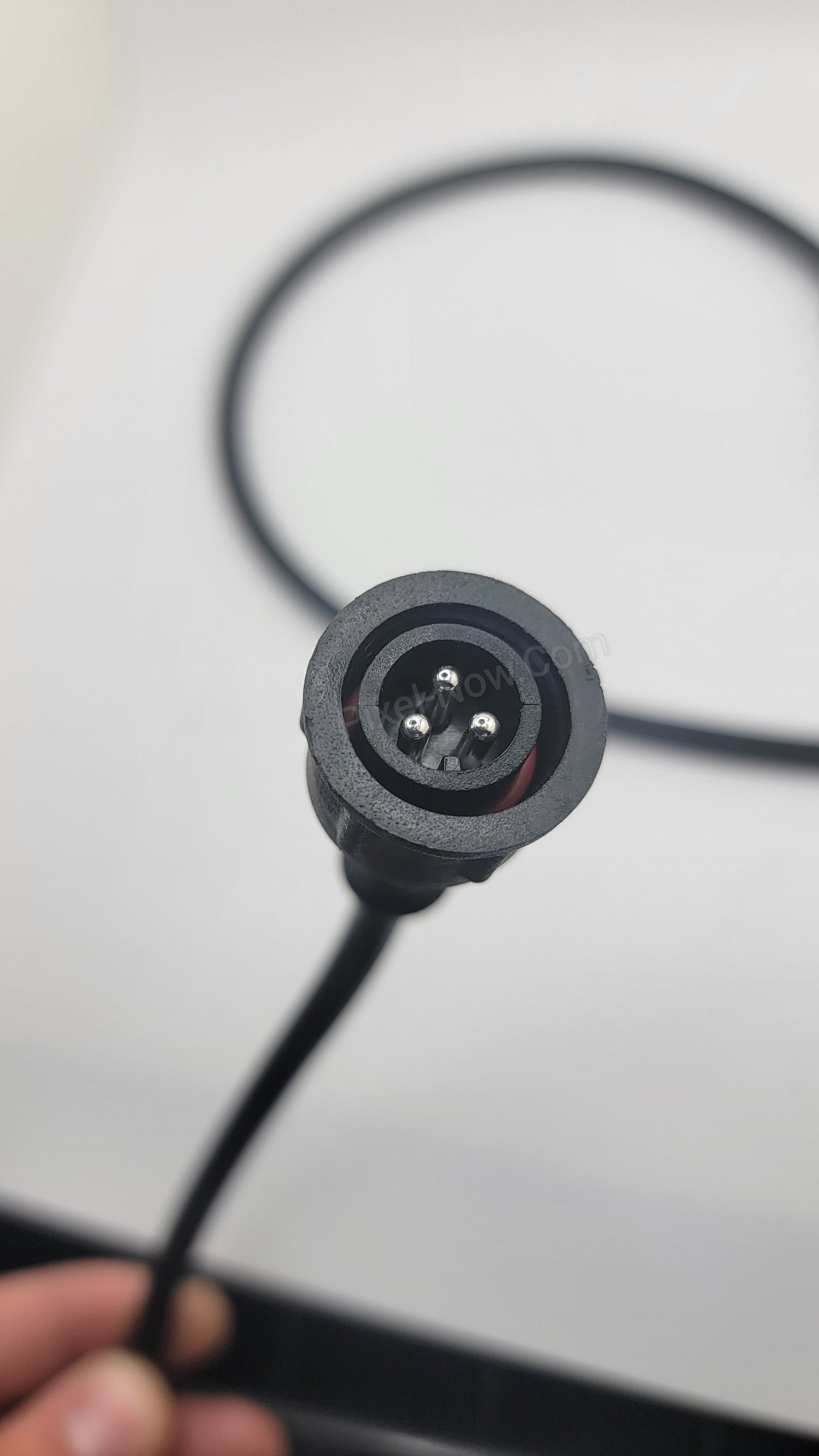 PigTail (Male or Female)