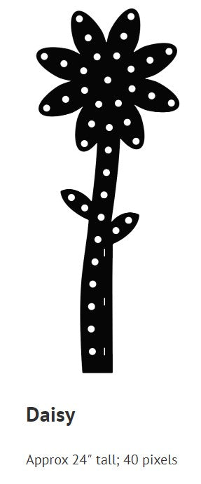 Daisy Flower