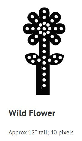 Wild Flower