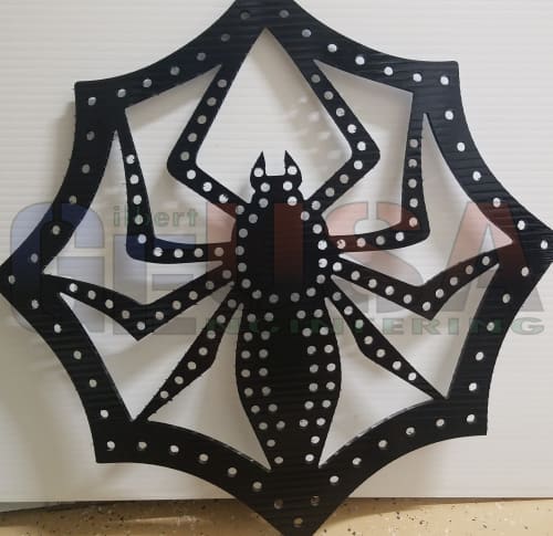 Spider in Web