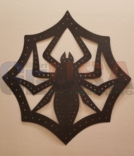 Spider in Web