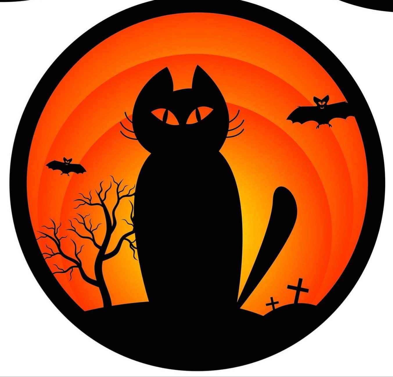 G-SkinZ for the Grand Illusion