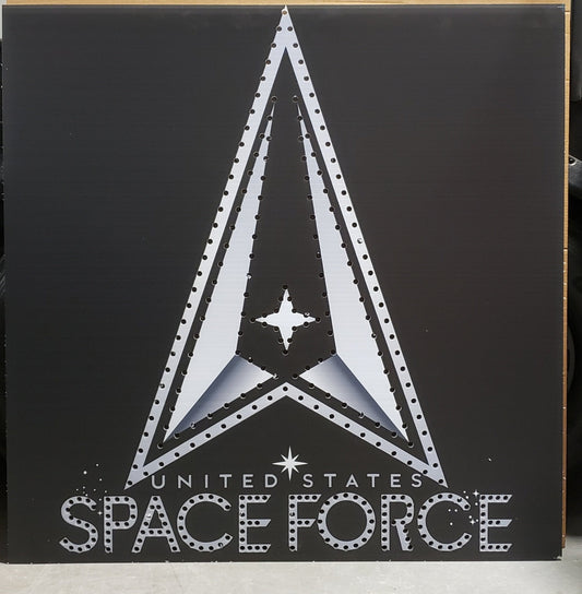 IMPRESSION Space Force Sign