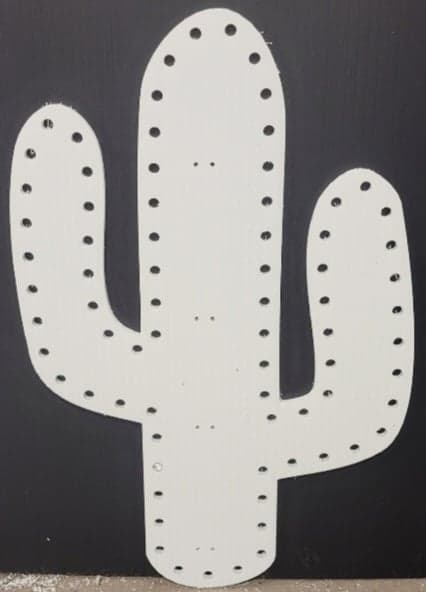 Saguaro Cactus