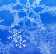 G-SkinZ for the XLS450 Flake