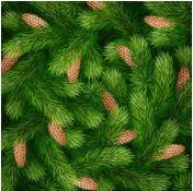 IMPRESSION HD Pixel Trim Kits