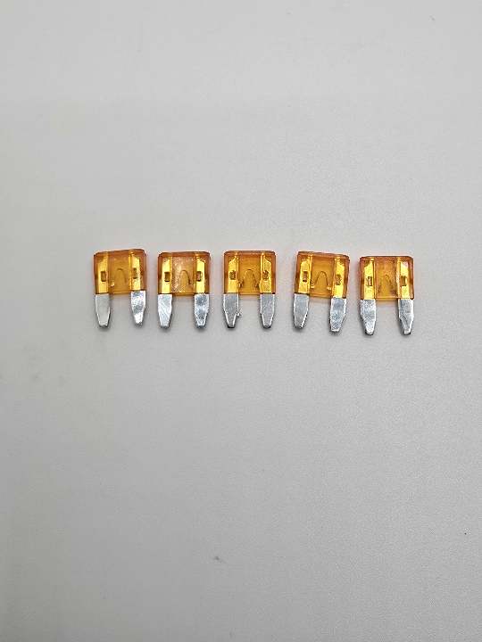 5 Amp Fuse