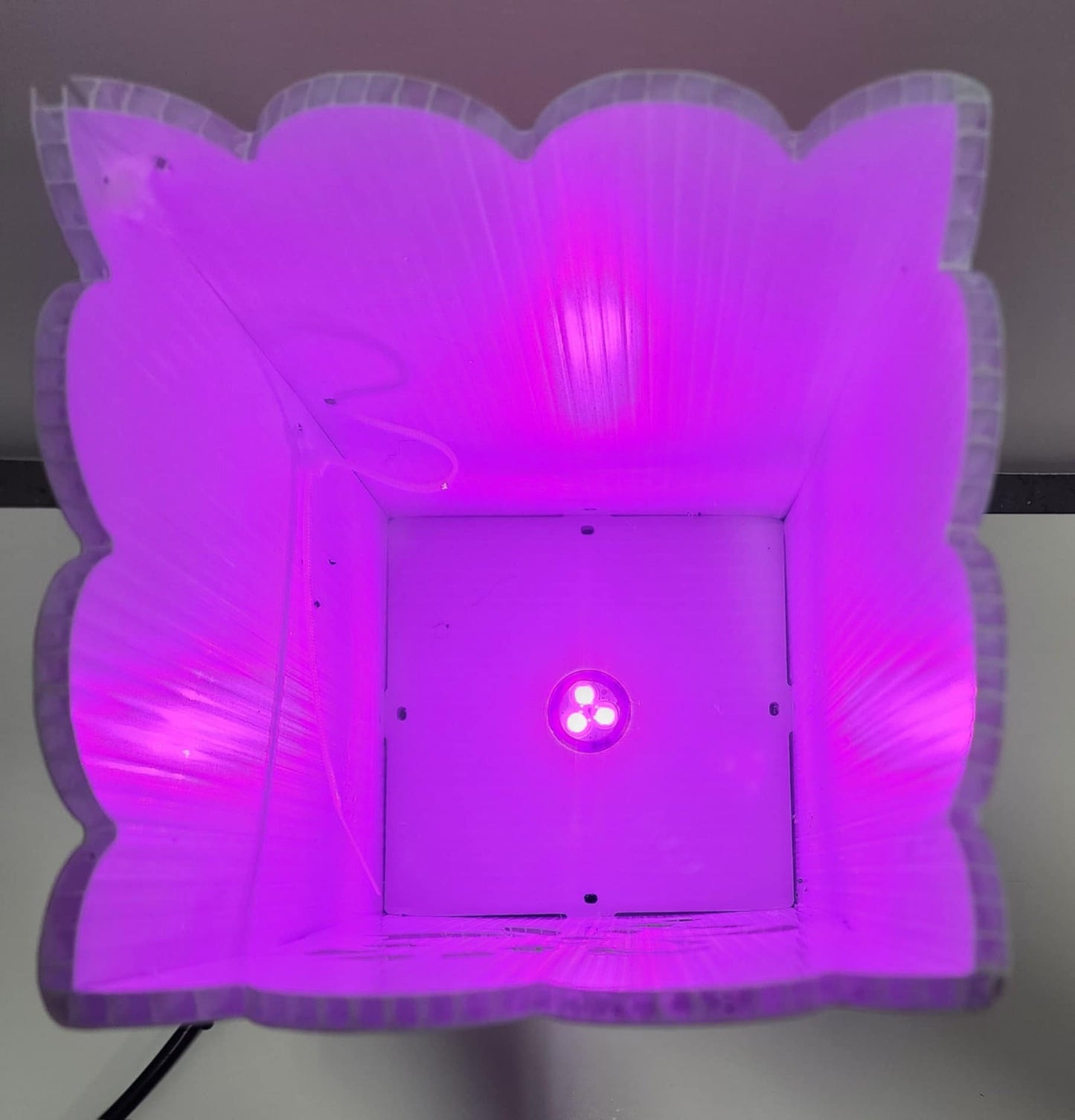 IMPRESSION Luminaria Kits