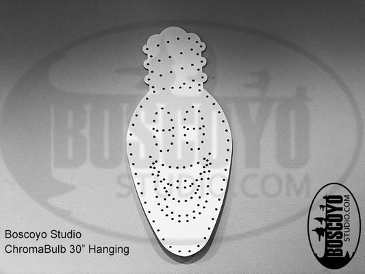ChromaBulb 30" Hanging