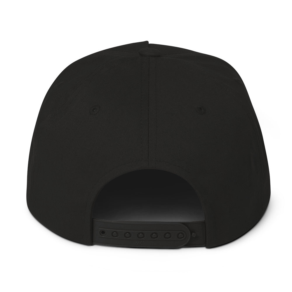 Black w/ Embroidered xLights Logo - Flat Bill Cap