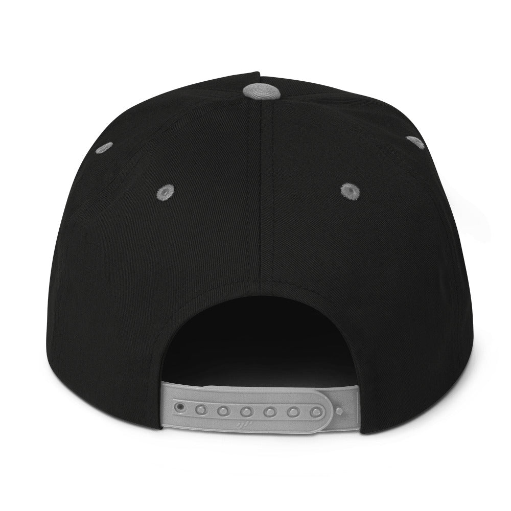 Black w/ Embroidered xLights Logo - Flat Bill Cap