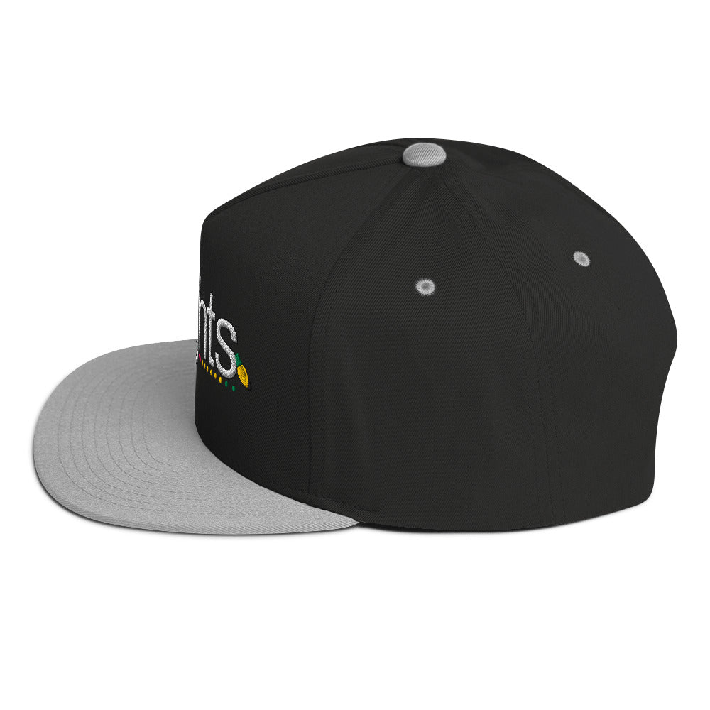 Black w/ Embroidered xLights Logo - Flat Bill Cap