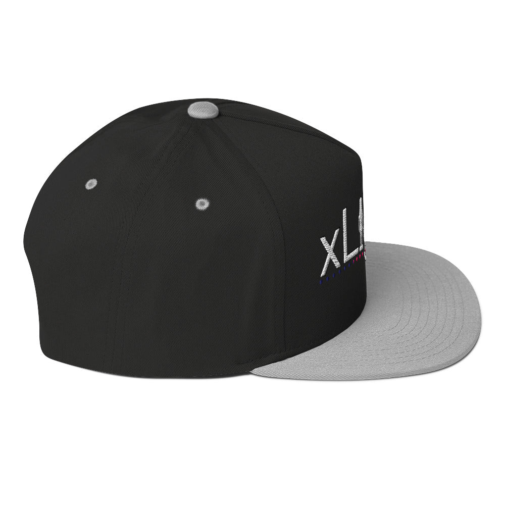 Black w/ Embroidered xLights Logo - Flat Bill Cap