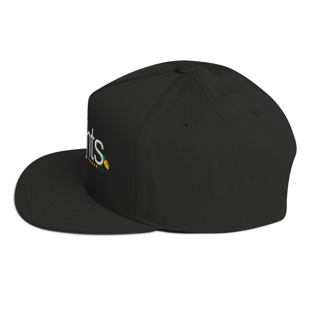 Black w/ Embroidered xLights Logo - Flat Bill Cap