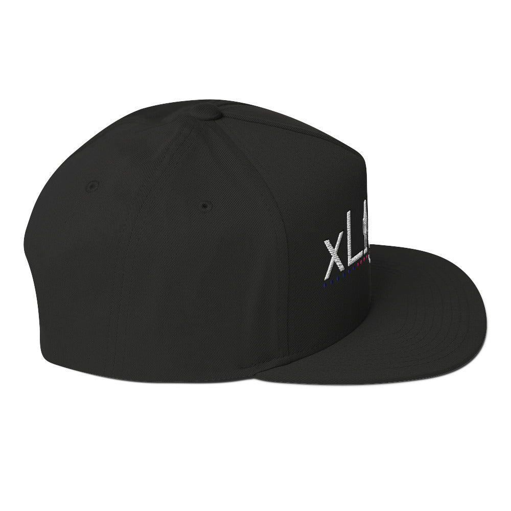 Black w/ Embroidered xLights Logo - Flat Bill Cap