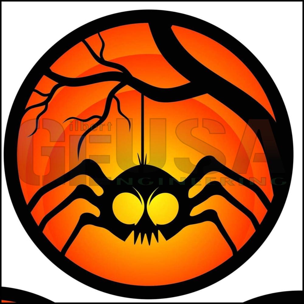 IMPRESSION The Reel Deal