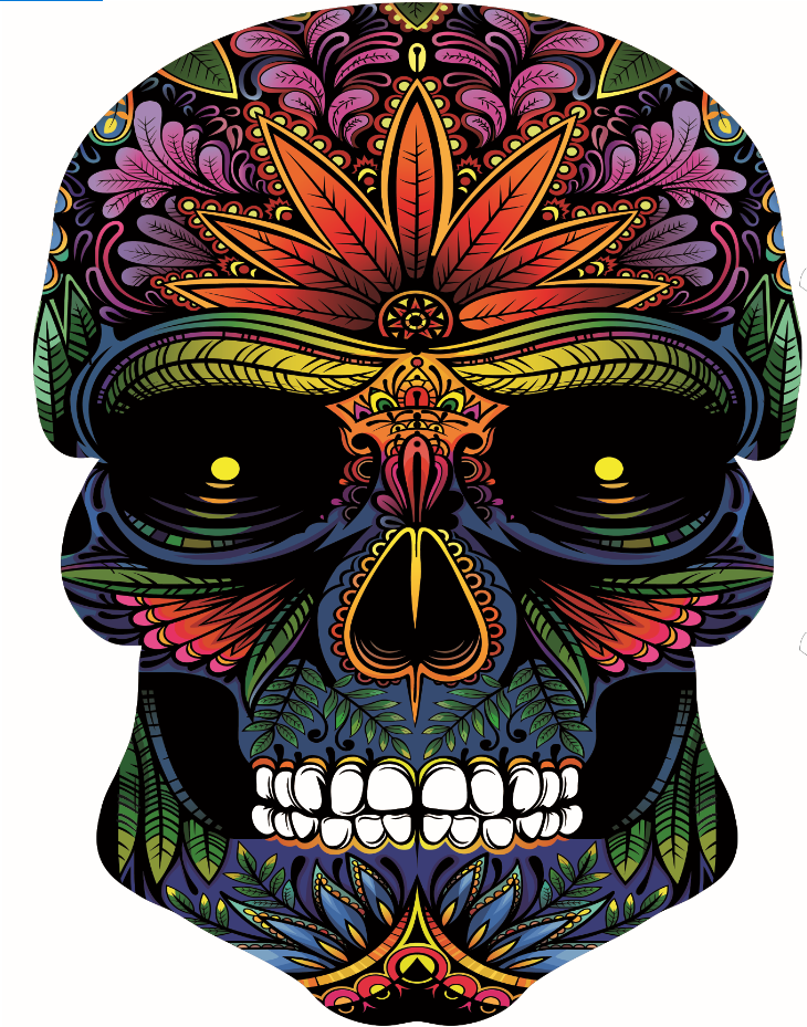 G-SkinZ for the Mega Skull