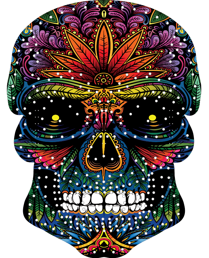 G-SkinZ for the Mega Skull